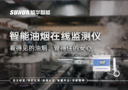 智能油烟在线监测仪：看得见的油烟，管得住的安心